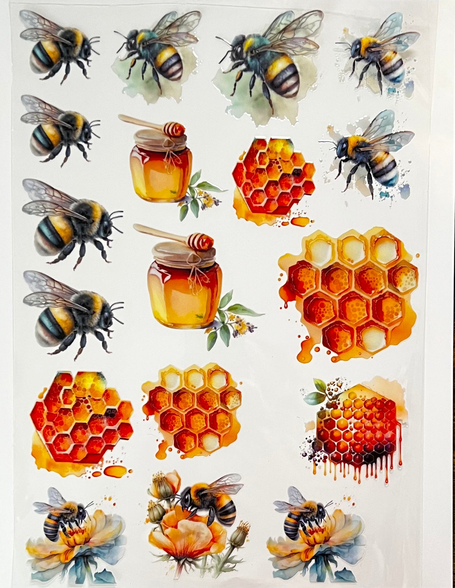Honey Bee
