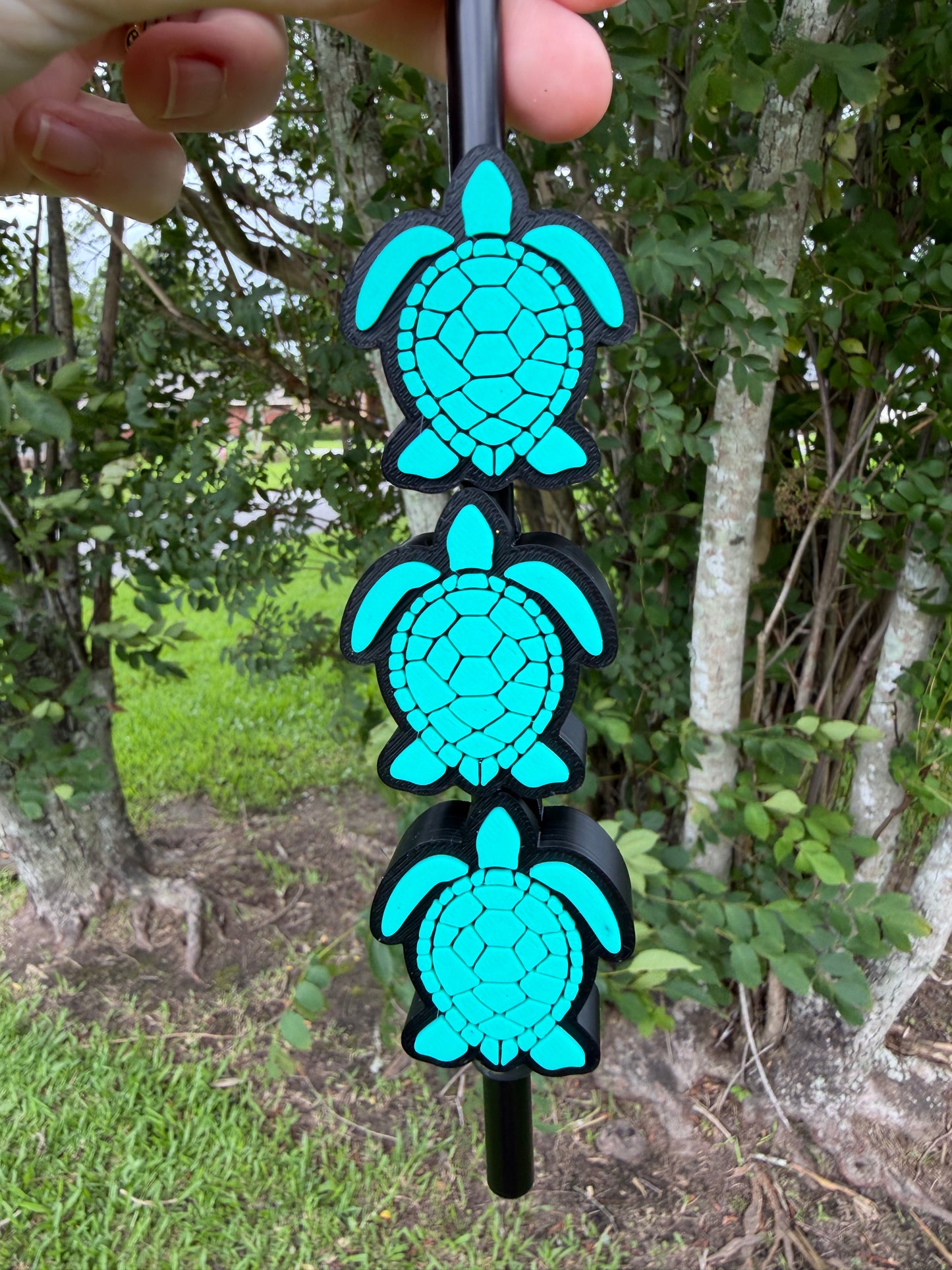 Sea Turtle