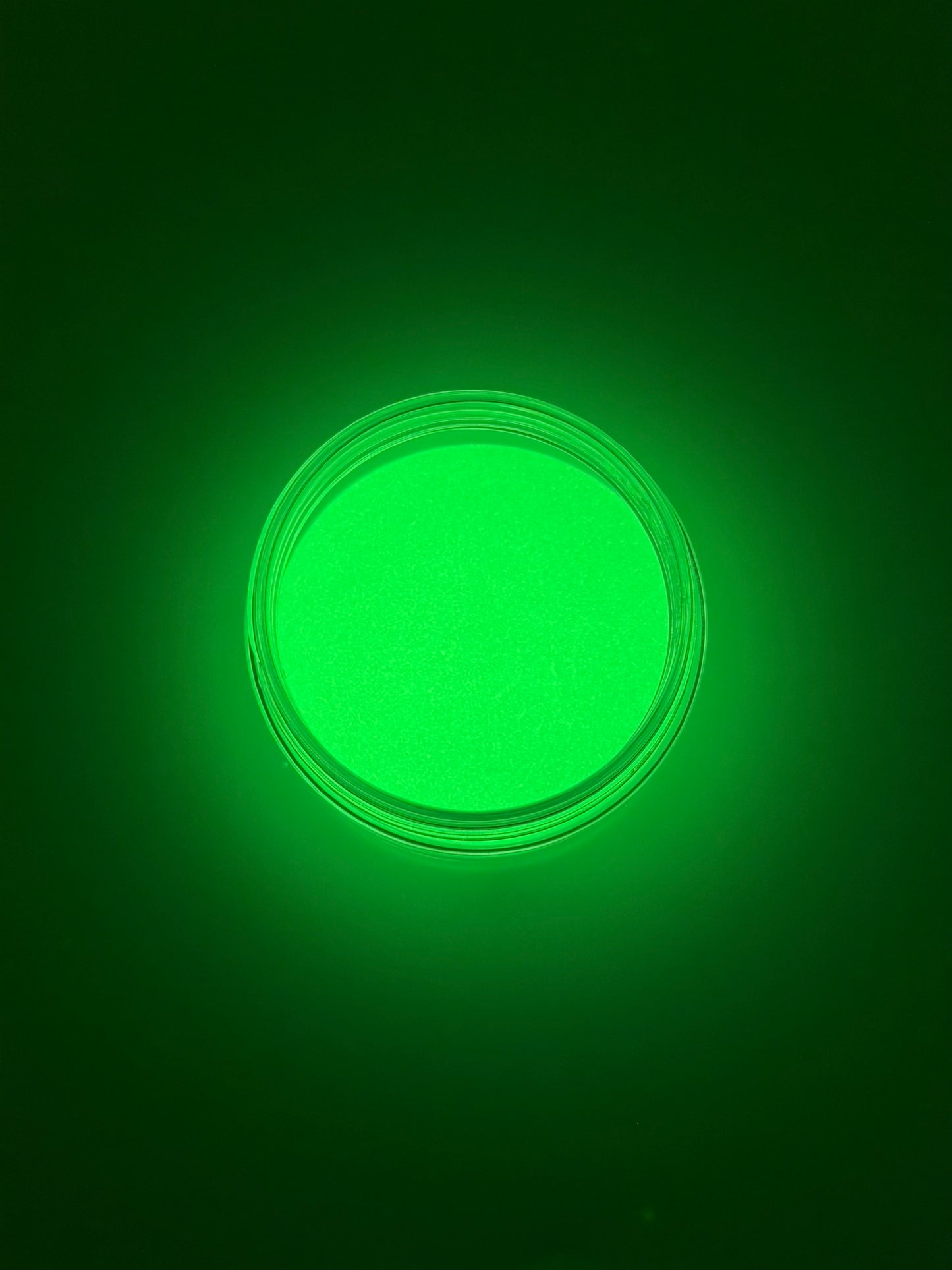 Seagull (Glow Powder)