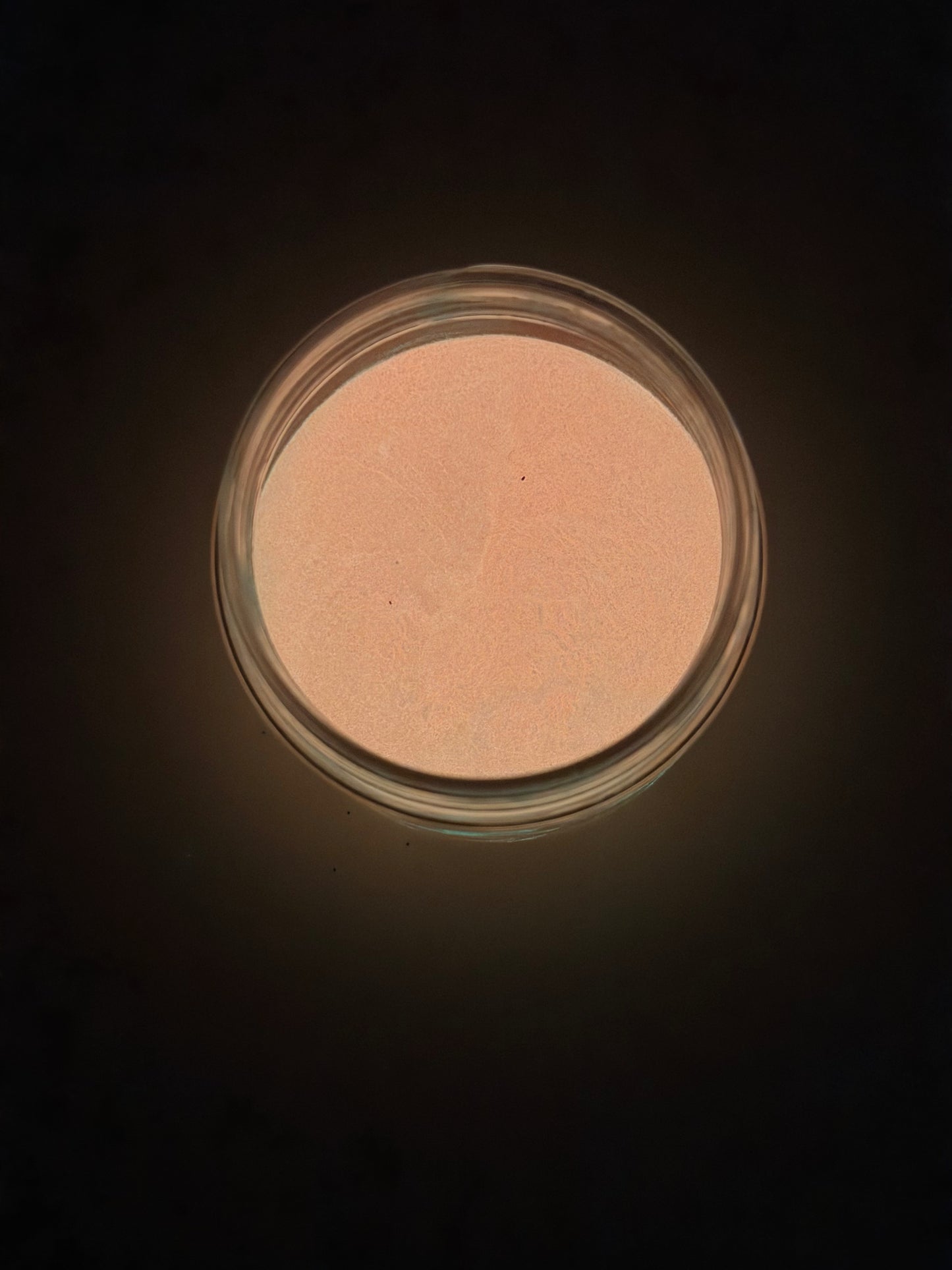 Coral Reef (Glow Powder)