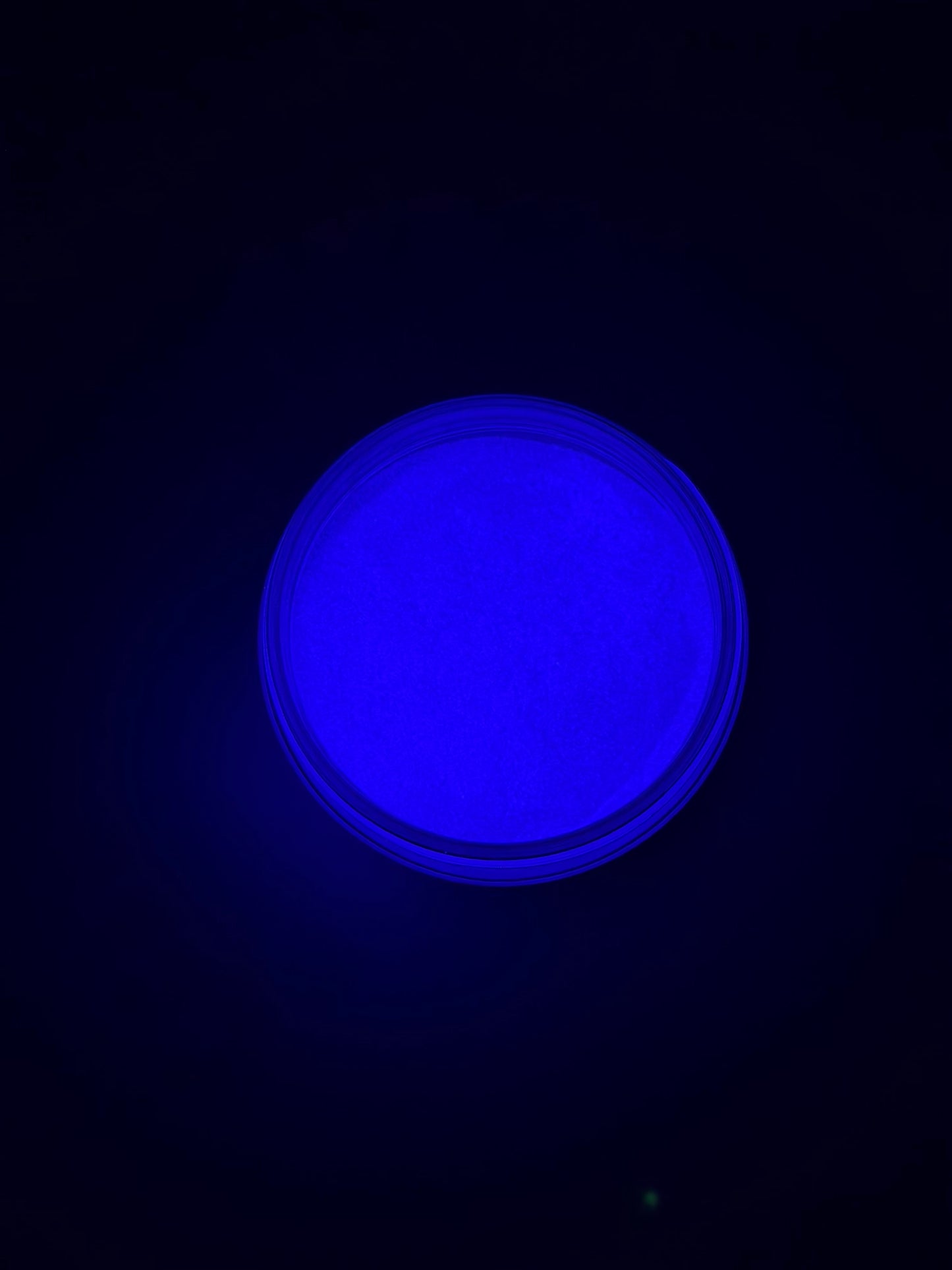 Sea Urchin (Glow Powder)